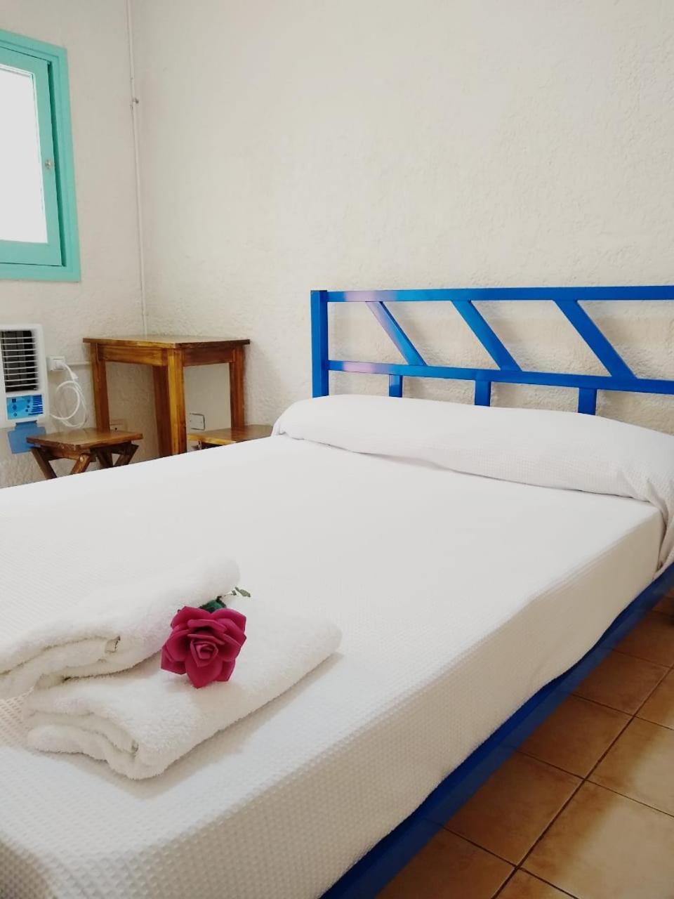 Black Sheep International Hostel Μεντόζα Εξωτερικό φωτογραφία